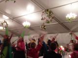 2011-06-18-hl227